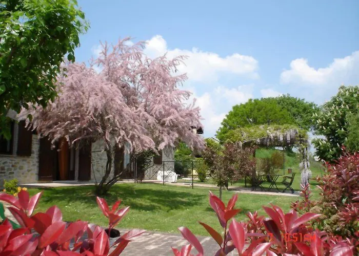 Farma Fonte Al Noce *